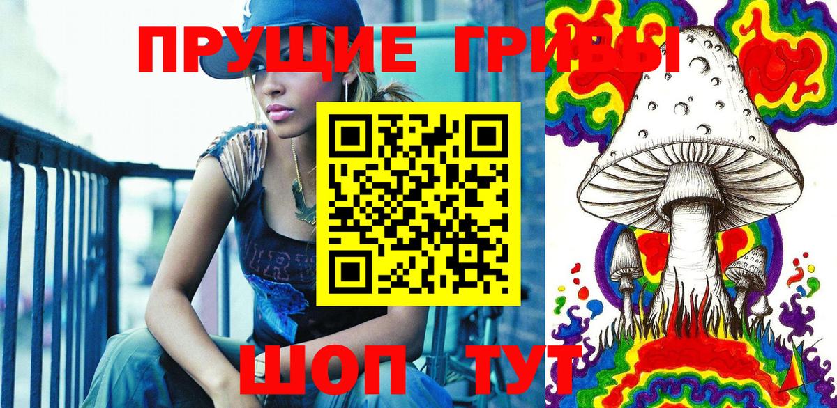 Псилоцибиновые грибы Cubensis  Вход с VPN  Вичуга  наркотики  Галлюциногенные грибы Psilocybe 